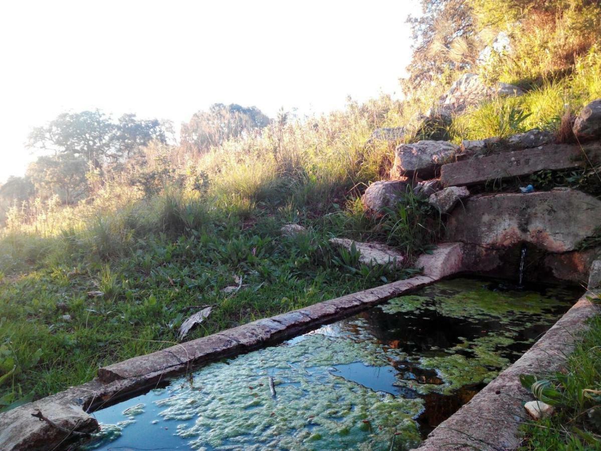 Las Parras Rute Buitenkant foto