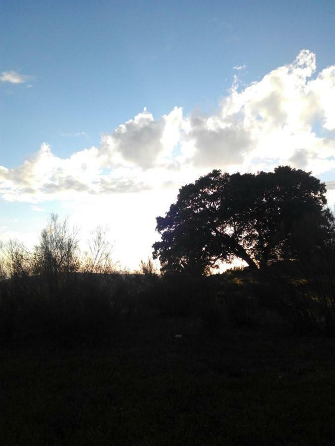 Las Parras Rute Buitenkant foto